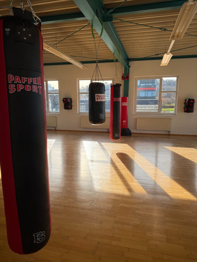 Boxing-Area (PREMIUM-Bereich)