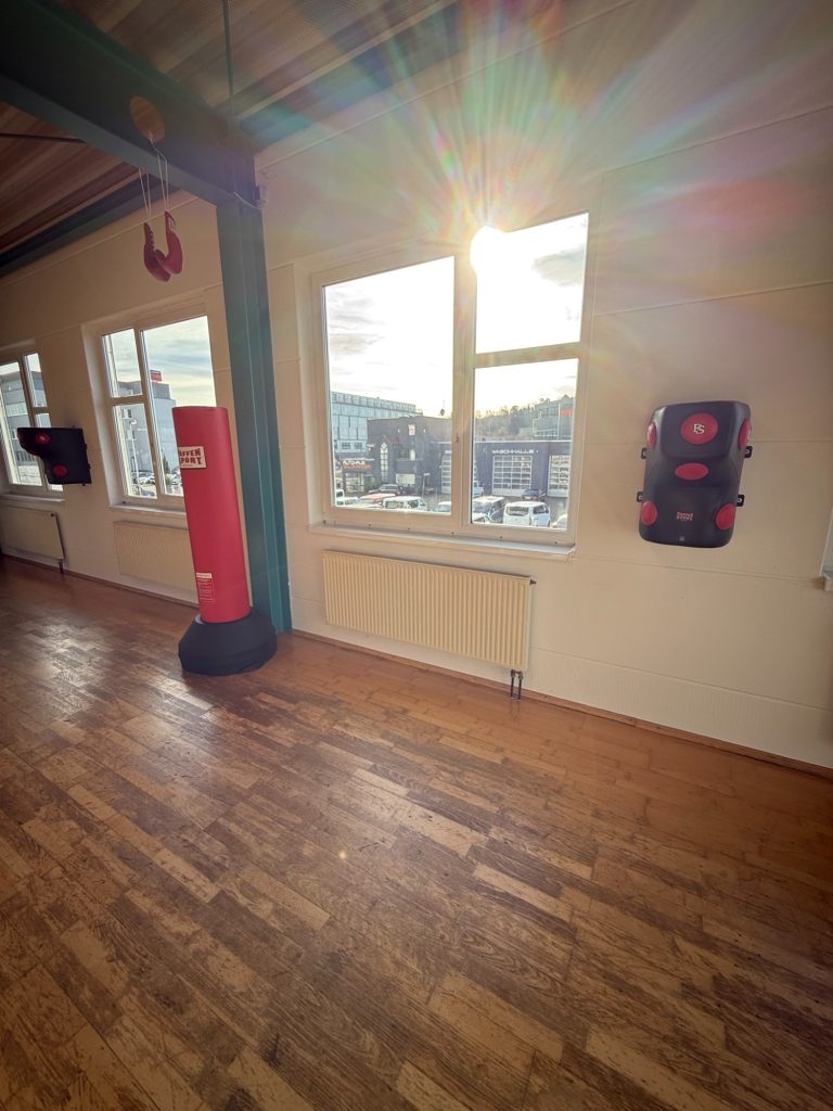 Boxing-Area (PREMIUM-Bereich)